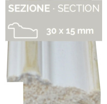 Profilleiste Querschnitt 30 x 15 Millimeter