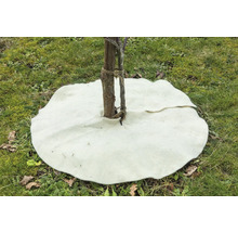 Feutre de paillage autour d'un tronc d'arbre sur une pelouse