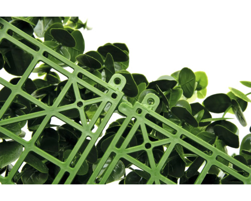 Detailaufnahme einer grünen Pflanzenmatte mit Kunststoffgitter