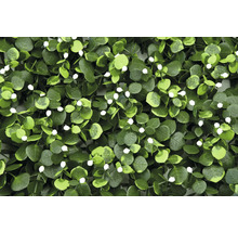 Künstliche Pflanzenwand mit Eukalyptus und weißen Blüten