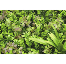 Künstliche Pflanzenwand mit verschiedenen grünen Blättern