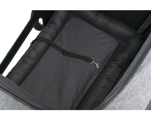 Innenansicht eines Hundeanhängers mit gepolsterter Matte und Sicherheitsgurt