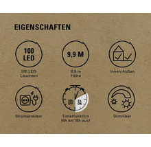 Eigenschaften: 100 LED Leuchten, 9,9 m Höhe, Innen- und Außenbereich, Stromstecker, Timerfunktion (6h an/18h aus), Dimmbar