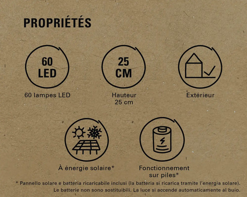 Caractéristiques : 60 LED, 25 centimètres de hauteur, convient pour l'extérieur, énergie solaire possible, fonctionnement sur piles possible