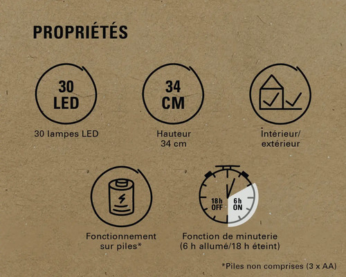 Caractéristiques : 30 LED, hauteur de 34 centimètres, convient pour l'intérieur et l'extérieur, fonctionnement sur piles, fonction de minuterie (6 heures allumées, 18 heures éteintes)