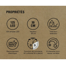 Caractéristiques du produit : 125 LED, hauteur de 30 cm, intérieur/extérieur, branchement électrique, fonction de minuterie (6 h allumées/18 h éteintes), intensité lumineuse variable.