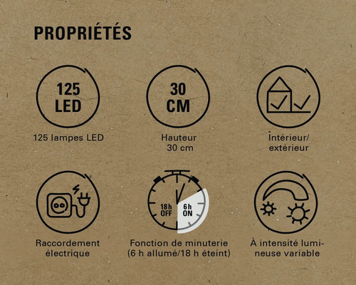 Caractéristiques du produit : 125 LED, hauteur de 30 cm, intérieur/extérieur, branchement électrique, fonction de minuterie (6 h allumées/18 h éteintes), intensité lumineuse variable.