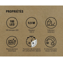 Propriétés : 100 lampes LED, hauteur de 9,9 m, intérieur/extérieur, raccordement électrique, fonction de minuterie (6 h allumé/18 h éteint), intensité lumineuse variable