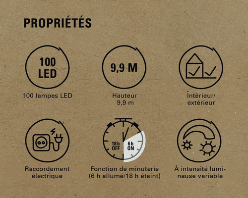 Propriétés : 100 lampes LED, hauteur de 9,9 m, intérieur/extérieur, raccordement électrique, fonction de minuterie (6 h allumé/18 h éteint), intensité lumineuse variable