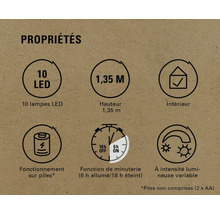 Propriétés : 10 LED, hauteur 1,35 mètre, pour intérieur, fonctionne sur piles, fonction minuterie (6 heures allumées, 18 heures éteintes), intensité lumineuse variable
