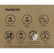 Propriétés : 80 LED, hauteur de 70 cm, convient pour l’extérieur, énergie solaire, fonctionnement sur piles, fonction de minuterie, huit fonctions d’éclairage.