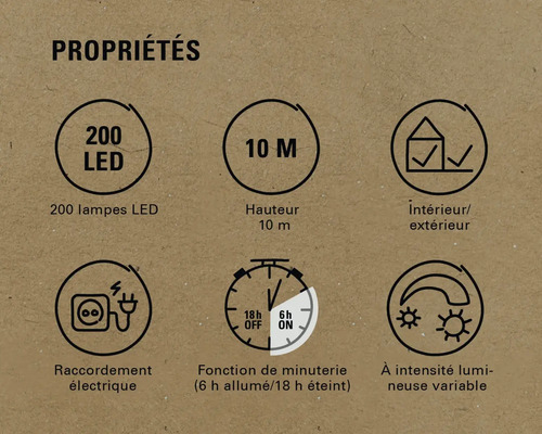 Propriétés : 200 LED, hauteur de 10 m, utilisation intérieure/extérieure, raccordement électrique, fonction de minuterie (6 h allumée/18 h éteinte), intensité lumineuse variable