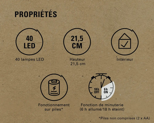 Propriétés : 40 LED, hauteur 21,5 cm, convient pour l'intérieur, fonctionne sur piles, fonction de minuterie (6 heures allumées, 18 heures éteintes)