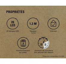 Propriétés : 20 LED, hauteur de 1,3 mètre, pour l’intérieur, fonctionne sur piles, fonction de minuterie