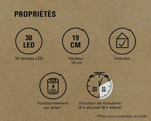 Propriétés: 30 LEDs, 19 cm de hauteur, convient pour l'intérieur, fonctionnement sur piles, fonction de minuterie (6 heures allumées, 18 heures éteintes)