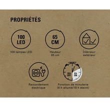 Propriétés : 100 lampes LED, hauteur de 65 centimètres, pour l’intérieur et l’extérieur, raccordement électrique, fonction de minuterie (6 heures allumées/18 heures éteintes)