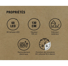 Propriétés du produit: 60 LED, hauteur 130 cm, convient pour l'intérieur et l'extérieur, raccordement électrique, fonction de minuterie (6 heures allumées, 18 heures éteintes)