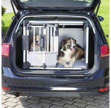 Deux chiens dans une cage de transport en aluminium dans le coffre d'une voiture