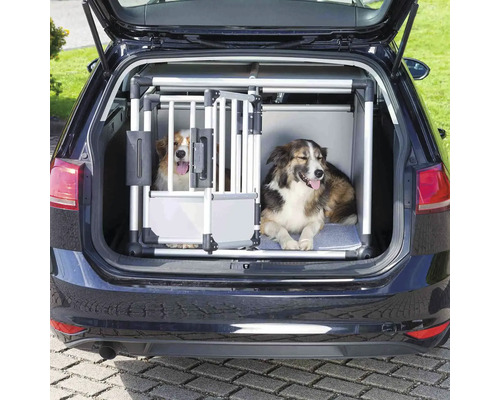 Deux chiens dans une cage de transport en aluminium dans le coffre d'une voiture