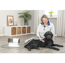 Eine Frau bürstet das Fell eines schwarzen Hundes mit einer Fellbürste und einem Staubsauger für Tierhaare in einem Wohnzimmer.