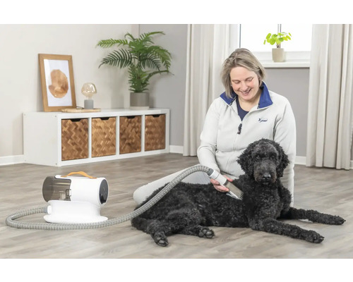 Eine Frau bürstet das Fell eines schwarzen Hundes mit einer Fellbürste und einem Staubsauger für Tierhaare in einem Wohnzimmer.