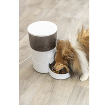 Automatischer Futterautomat mit Hund beim Fressen