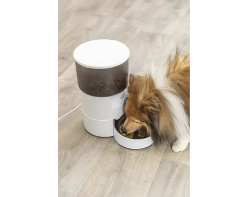 Automatischer Futterautomat mit Hund beim Fressen