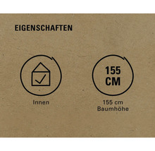 Eigenschaften: Für Innenräume geeignet, Baumhöhe 155 cm