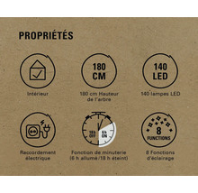 Propriétés : intérieur, hauteur de 180 centimètres, 140 lampes LED, raccordement électrique, fonction de minuterie (6 heures allumé et 18 heures éteint), huit fonctions d’éclairage