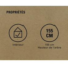 Propriétés: convient pour l'intérieur, hauteur de l'arbre 155 cm