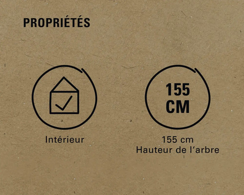 Propriétés: convient pour l'intérieur, hauteur de l'arbre 155 cm