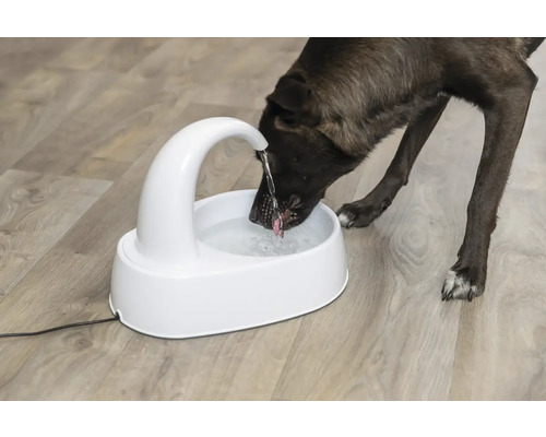 Ein Hund trinkt aus einem weißen Trinkbrunnen.