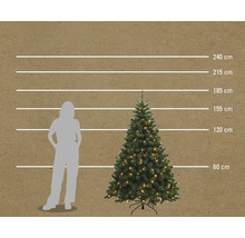 Comparaison de taille d'un arbre de Noël artificiel avec éclairage