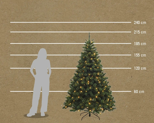 Comparaison de taille d'un sapin de Noël illuminé avec une femme