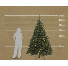 Image d'un sapin de Noël décoré avec des indications de taille et une personne pour l'orientation