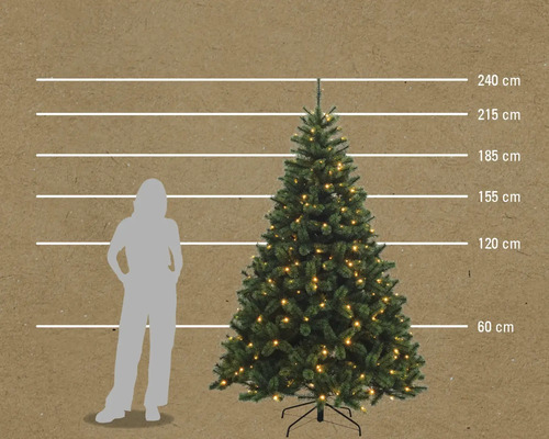 Image d'un sapin de Noël décoré avec des indications de taille et une personne pour l'orientation