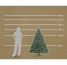 Illustration d'un arbre de Noël artificiel avec indication des tailles en centimètres