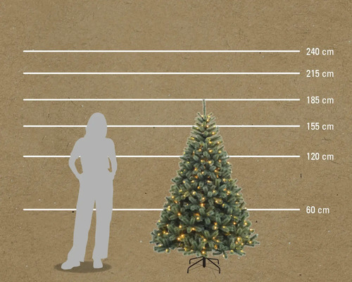 Abbildung eines Weihnachtsbaumes in verschiedenen Größen im Vergleich zu einer Person