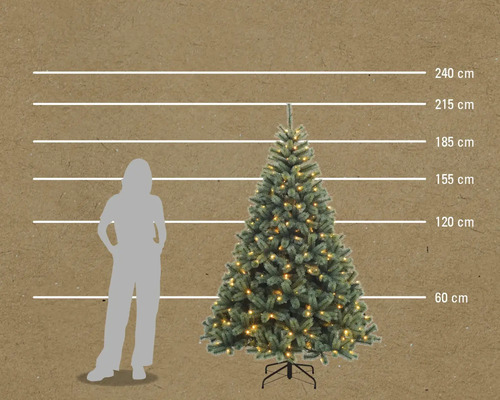Image d'un sapin de Noël avec des indications de hauteur et une personne pour comparer les tailles