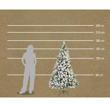 Illustration d'un sapin de Noël enneigé avec indications de hauteur en centimètres