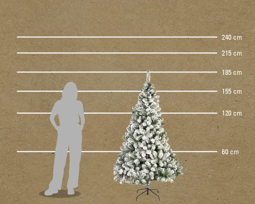 Illustration d'un sapin de Noël enneigé avec indications de hauteur en centimètres