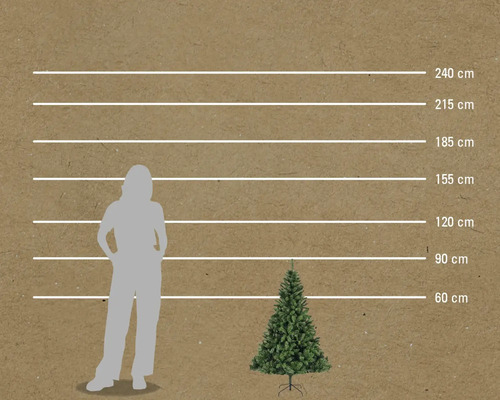 Comparaison de la taille d'une personne et d'un sapin de Noël avec indication de la hauteur en centimètres