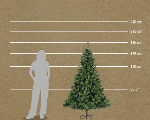 Comparaison de la taille d'un sapin de Noël avec une femme, représentée par des lignes horizontales à 60 cm, 120 cm, 155 cm, 185 cm, 215 cm et 240 cm.