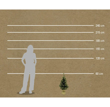 Échelle comparative des tailles avec des marquages de 60 cm à 240 cm, une silhouette de femme et un petit arbre de Noël.