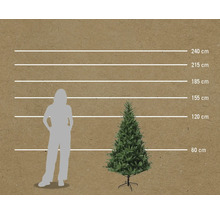 Comparaison de la taille d'un arbre de Noël artificiel avec une personne et indication de la hauteur en centimètres