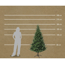 Comparaison de la taille d'un sapin artificiel avec une femme et indications de hauteur en centimètres