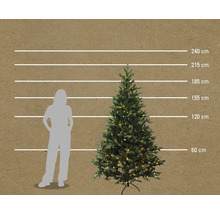 Illustration eines Weihnachtsbaums mit Größenangaben von 60 Zentimetern bis 240 Zentimetern