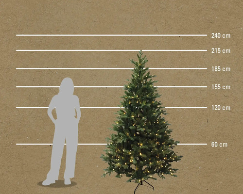 Illustration eines Weihnachtsbaums mit Größenangaben von 60 Zentimetern bis 240 Zentimetern