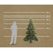 Image d'un arbre de Noël avec des indications de taille à titre d'illustration