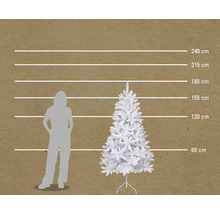 Comparaison de la taille d'un sapin artificiel à côté d'une silhouette humaine avec des indications de hauteur en centimètres